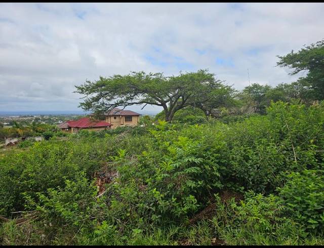 LAND FOR SALE IN LOUIS TRICHARDT